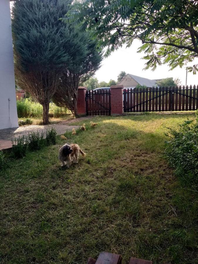 Domek W Spokojnej Podlaskiej Wsi Czerwonki  Luaran gambar